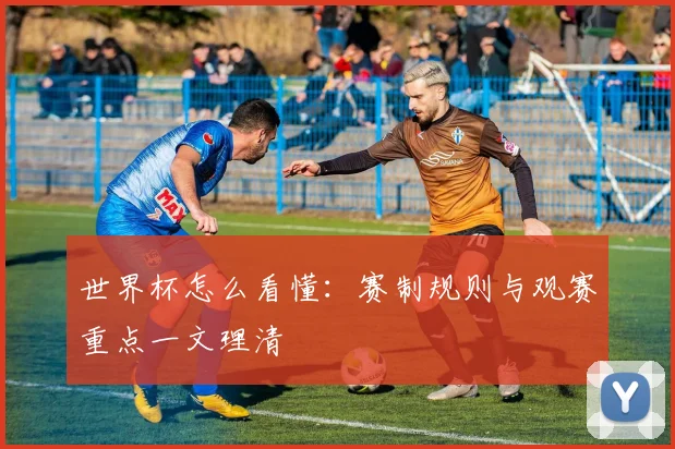 世界杯怎么看懂:赛制规则与观赛重点一文理清