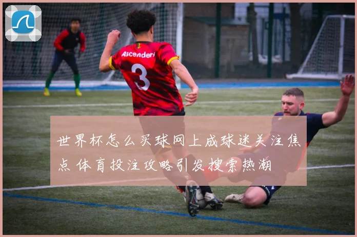 世界杯怎么买球网上成球迷关注焦点 体育投注攻略引发搜索热潮