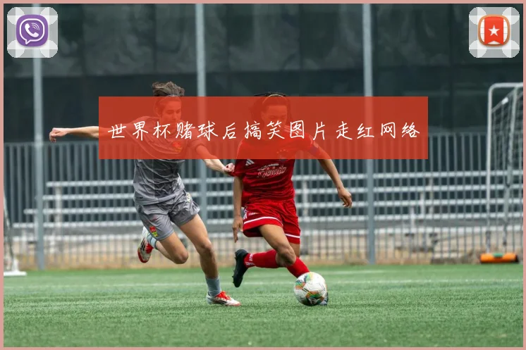 世界杯赌球后搞笑图片走红网络
